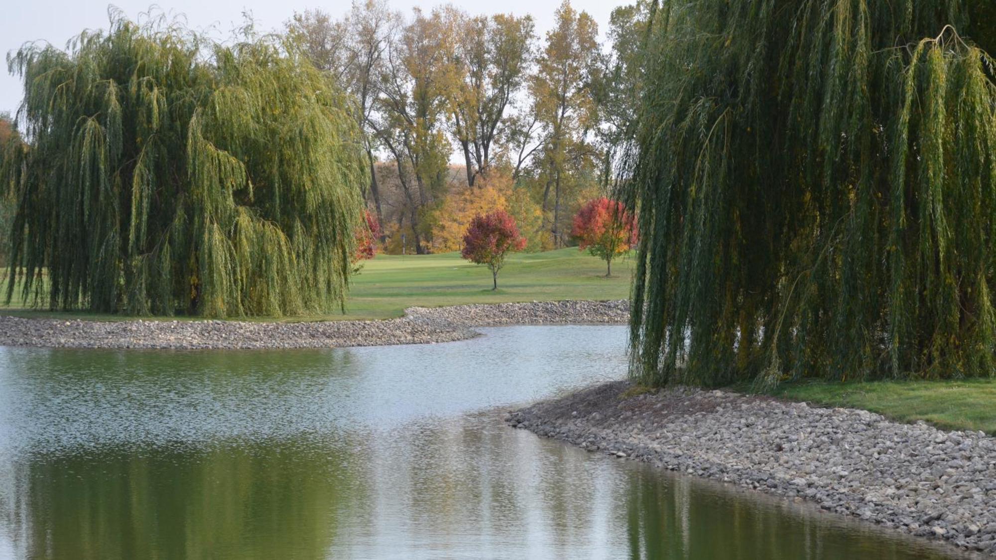 Boarders Inn And Suites By Cobblestone Hotels - Fayette エクステリア 写真